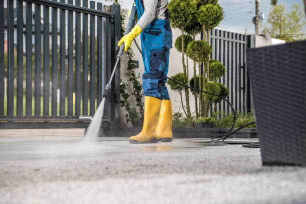 Best Driveway Pressure Washing  in Wentzville, MO